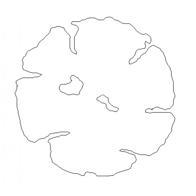 645x645 Tree Plan Cad Block