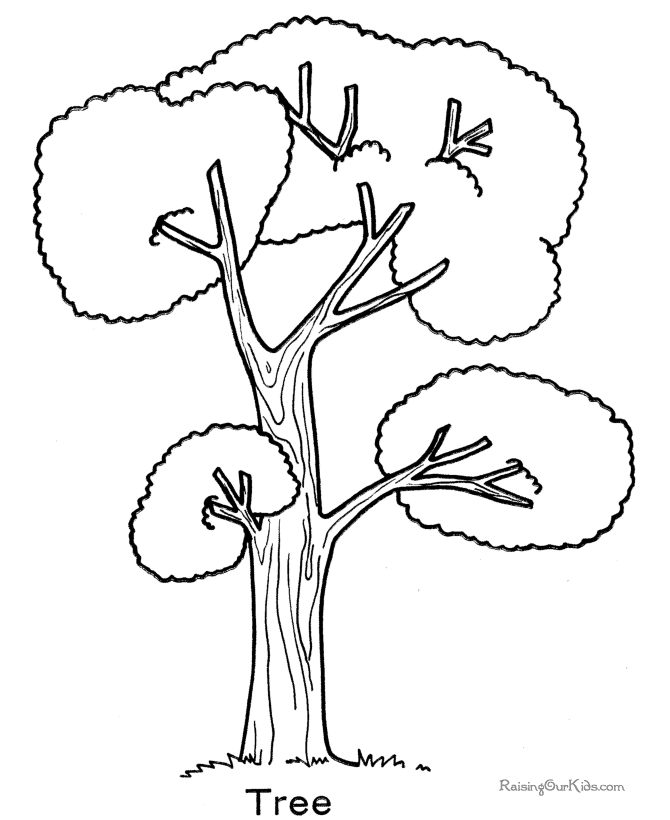 Tree Plan Drawing at GetDrawings | Free download