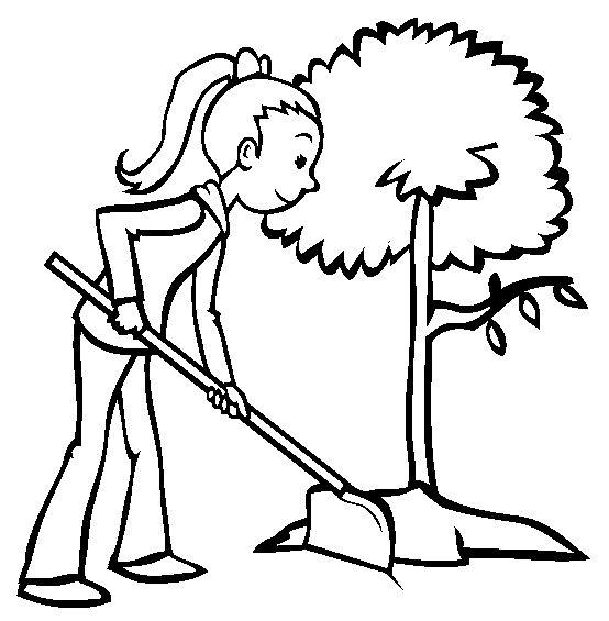 Tree Planting Drawing at GetDrawings | Free download