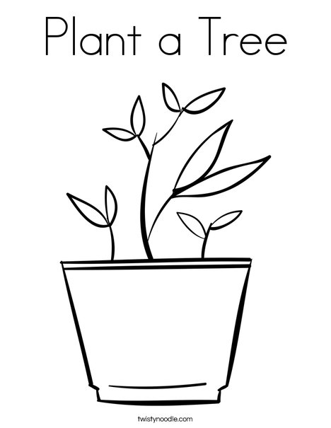 468x605 Plant A Tree Coloring Page