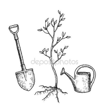 450x450 Sketch Tree Planting Stock Vector