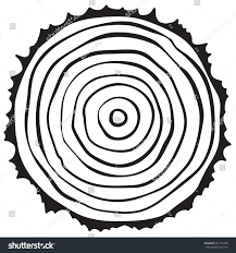 Tree Ring Drawing at GetDrawings | Free download