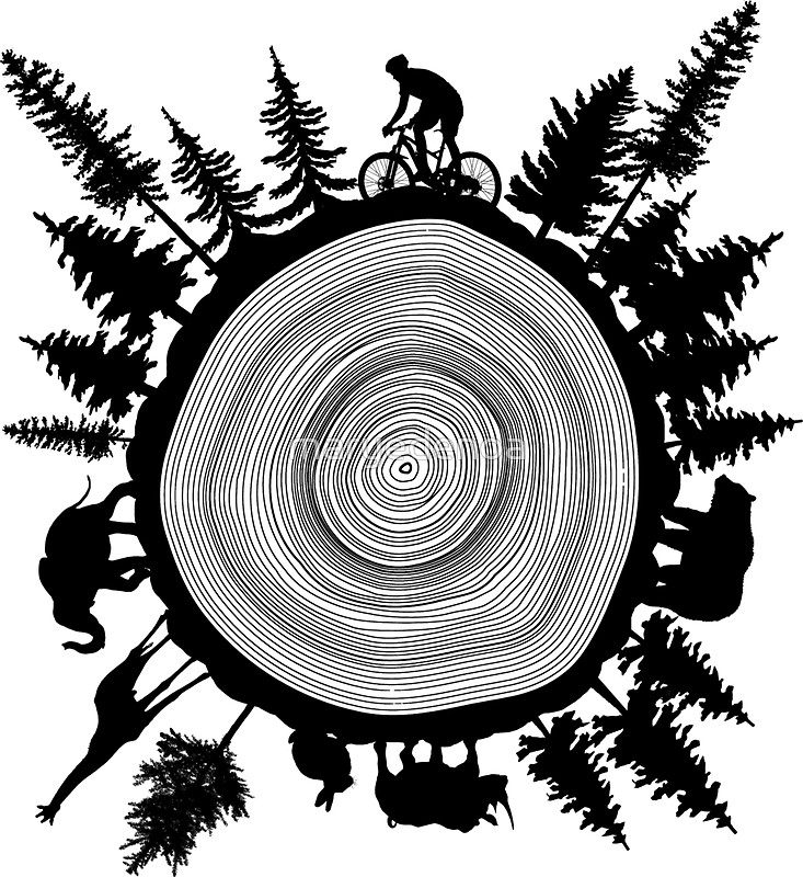 733x800 Into The Woods