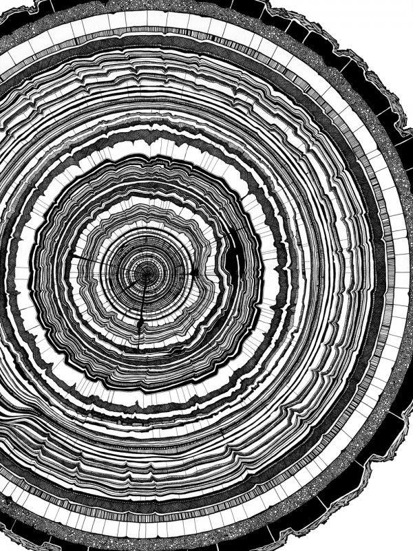 600x801 The Land Of Melting Shadows The Art Of Tree Rings