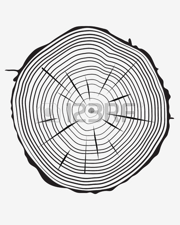 360x450 Tree Ring Stock Photos Amp Pictures. Royalty Free Tree Ring Images