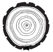 214x211 Tree Ring Activity
