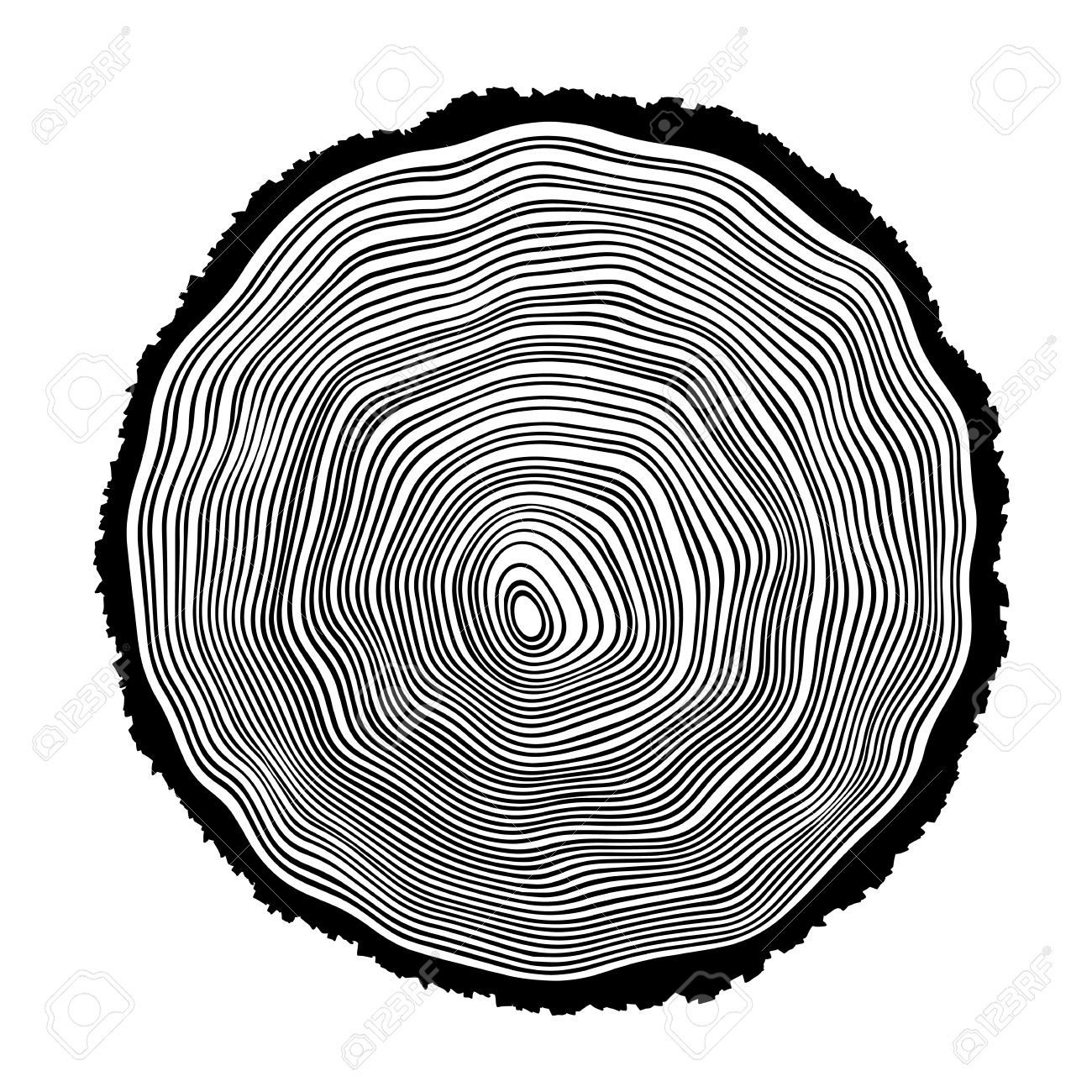 1300x1300 Tree Rings Background Illustration Royalty Free Cliparts, Vectors