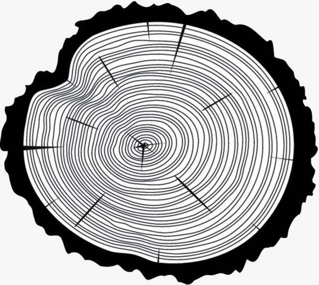 650x580 Black Hand Painted Stumps, Age, Tree, Rings Png Image For Free