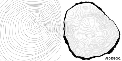 500x250 Vector Tree Rings Background Tree Log Cutted Stock Image