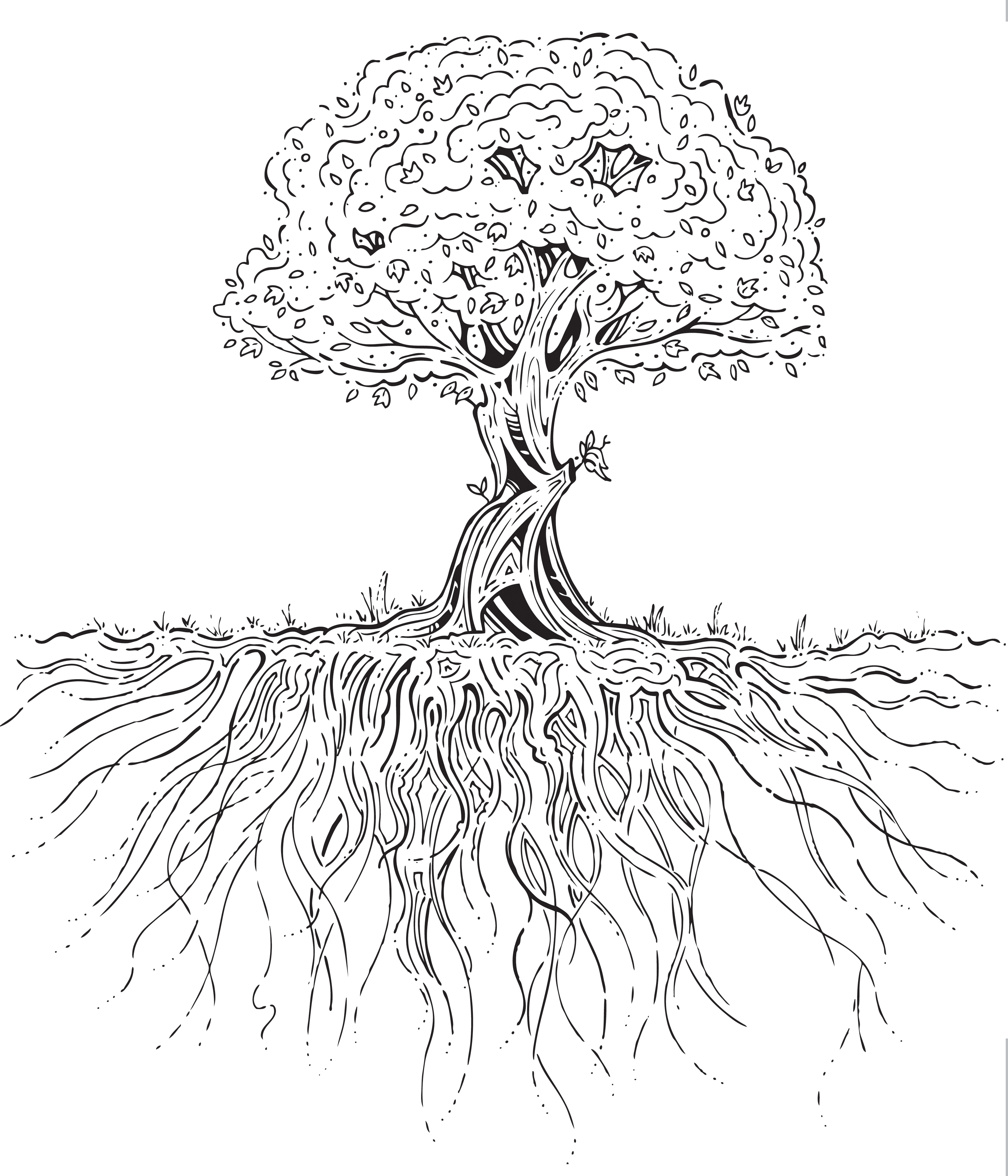 Tree Root Drawing at GetDrawings | Free download