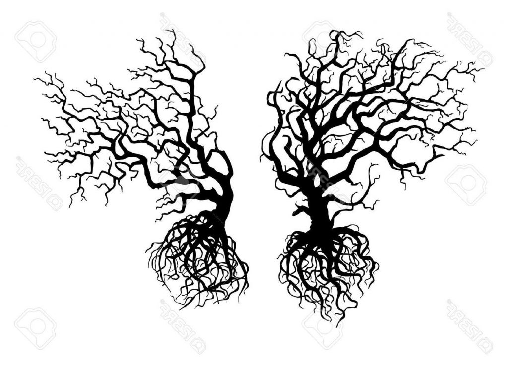 1024x736 Top 10 Silhouettes Of Two Old Crooked Trees Drawing