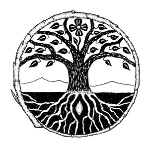 300x296 Tree Root Drawings