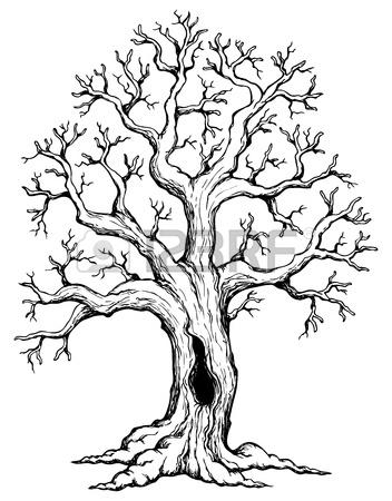 352x450 Tree Theme Drawing 1 Stock Photo, Picture And Royalty Free Image