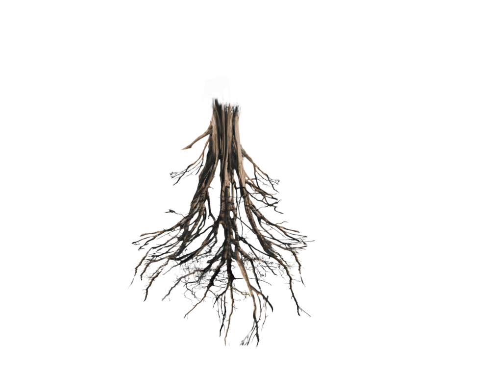 1006x794 Floating Island Tree Trunk Rework Png Roots By Annamae22