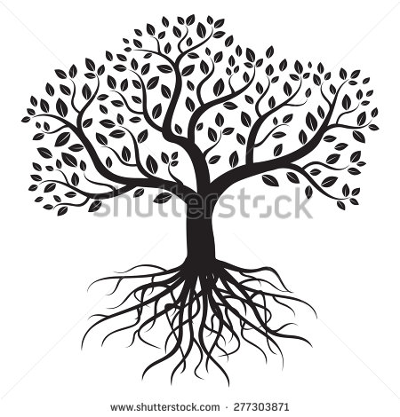 450x470 17 Tree Roots Vector Images