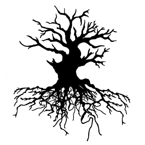 Tree Roots Drawing at GetDrawings | Free download