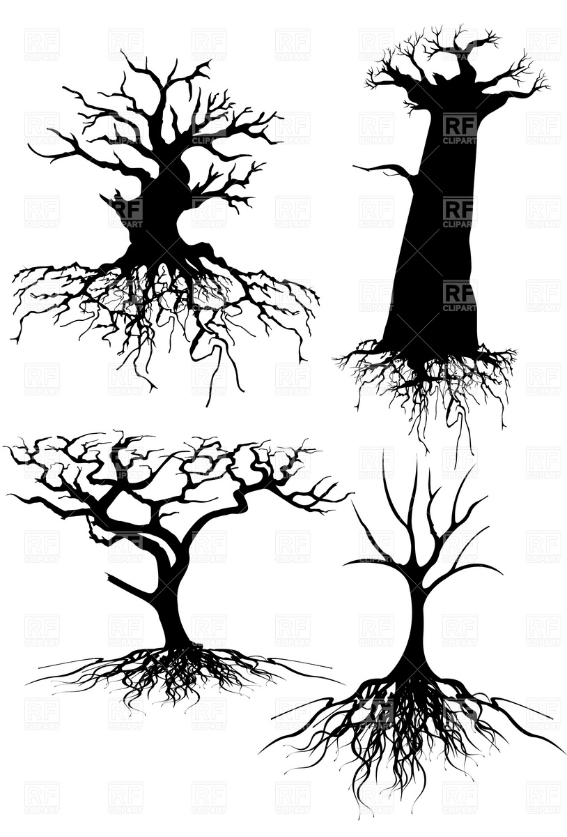 814x1200 Old Tree Silhouettes With Roots Royalty Free Vector Clip Art Image