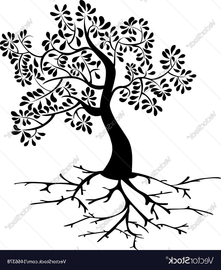 884x1080 Top 10 Black Tree Roots Silhouette Vector Cdr