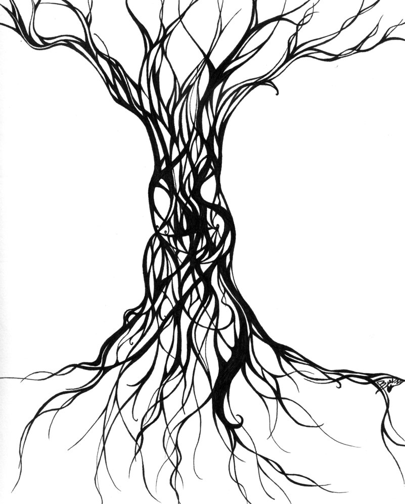 801x996 Tree Drawing Cliparts 269270