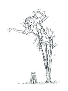 224x300 Tree Roots Drawings