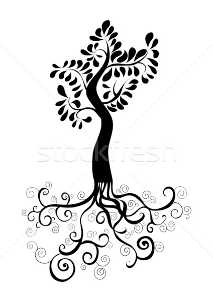 424x600 Tree Roots Stock Photos, Stock Images And Vectors