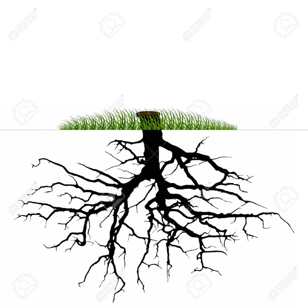 1300x1300 Vector Tree Roots Silhouette Royalty Free Cliparts, Vectors,