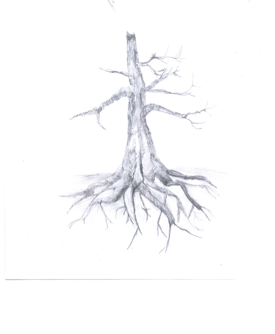 Tree Roots Drawing at GetDrawings | Free download