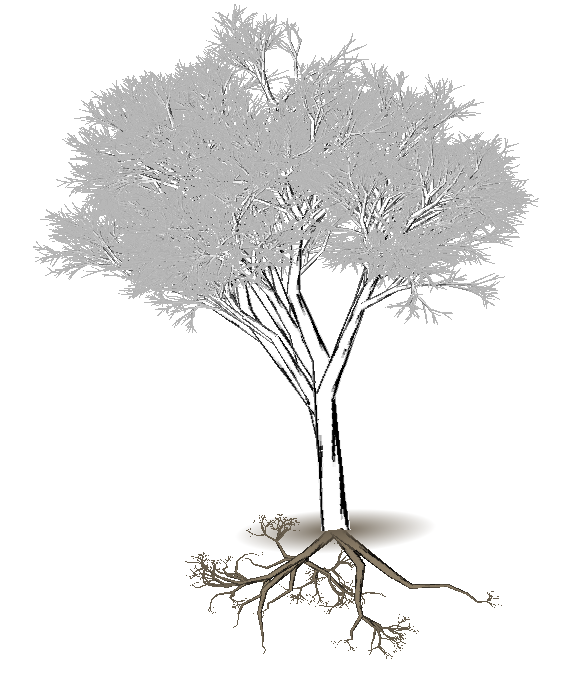 577x695 Projects Of Zack Booth Simpson Tree Generator