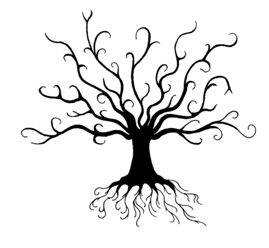 905x834 Shadow Tree By Kalshann