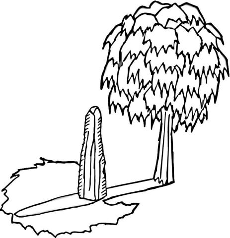 463x480 Shadow Of The Tree Coloring Page Free Printable Coloring Pages