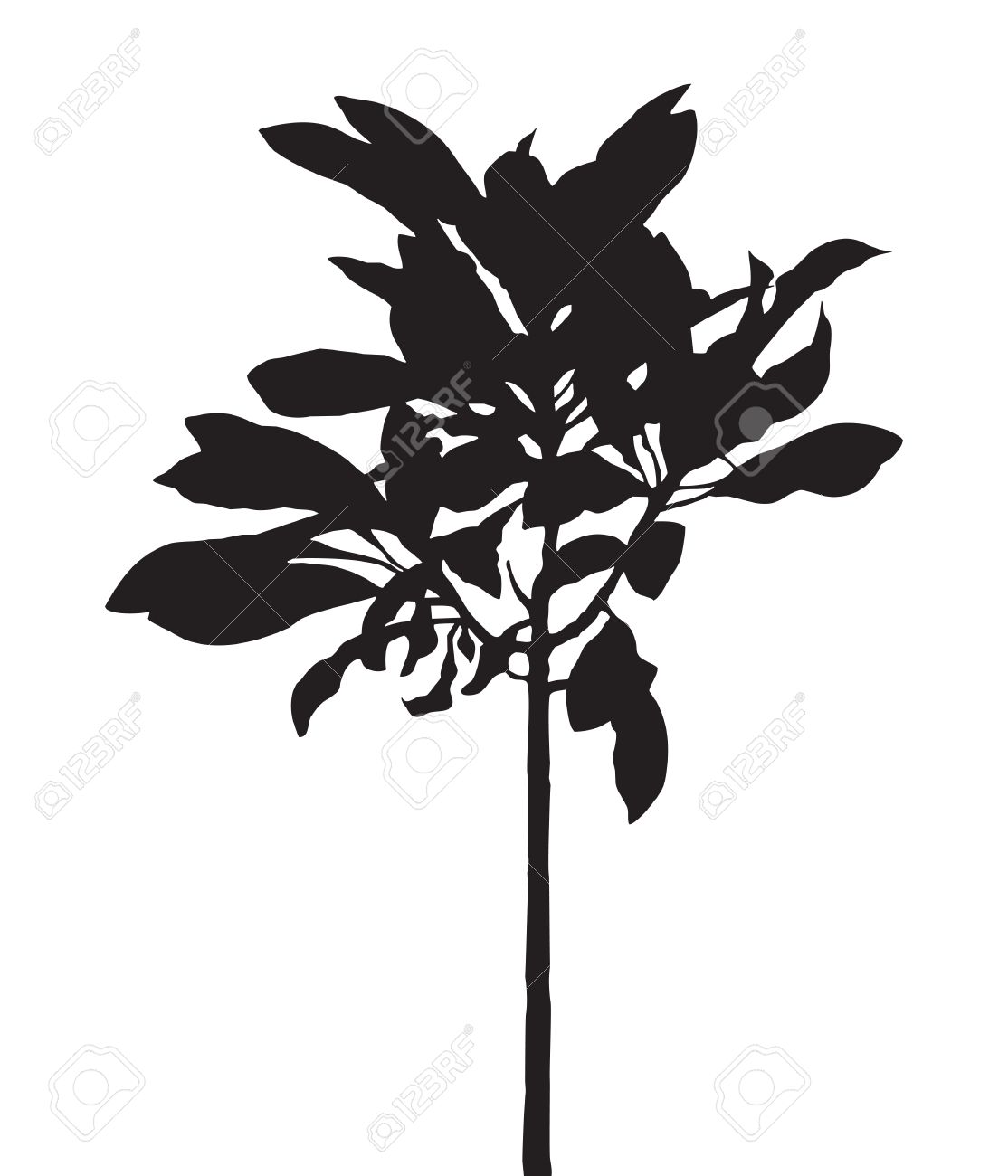 1114x1300 Tree Isolated Vector, Black Shadow Leaf, Bush Outline Forest