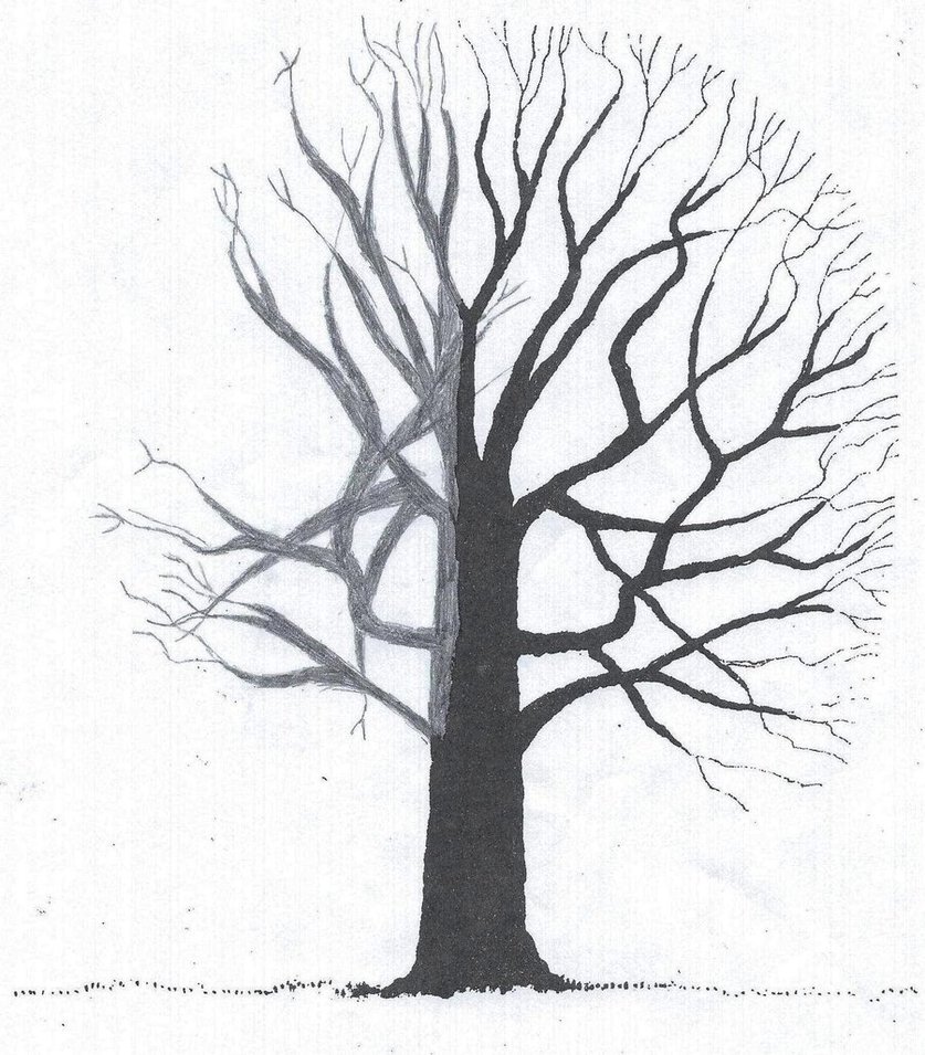 837x955 Tree Shadow I By Bluemoonshe Wolf