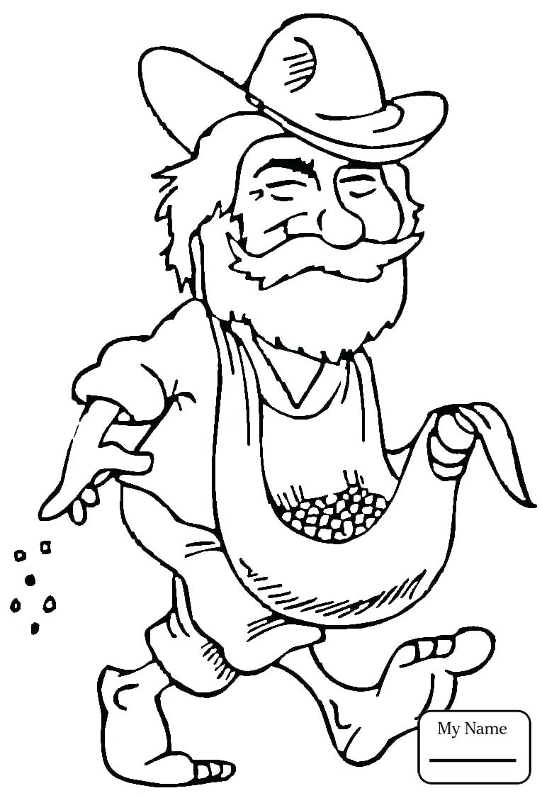 765x1126 Coloring Shadow Coloring Pages Gardens Nature Seasons Of The Tree