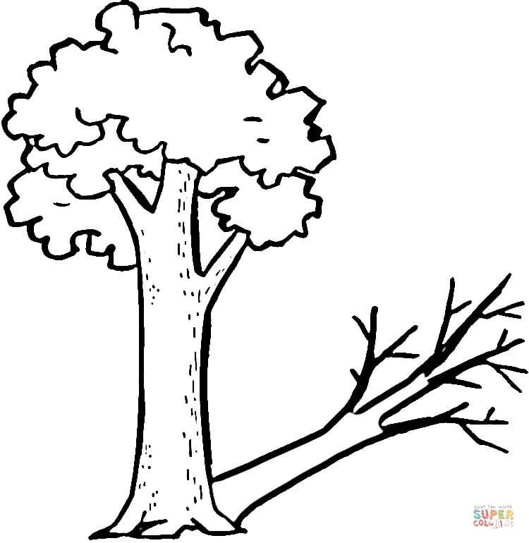 750x770 A Tree And Its Strange Shadow Coloring Page Free Printable