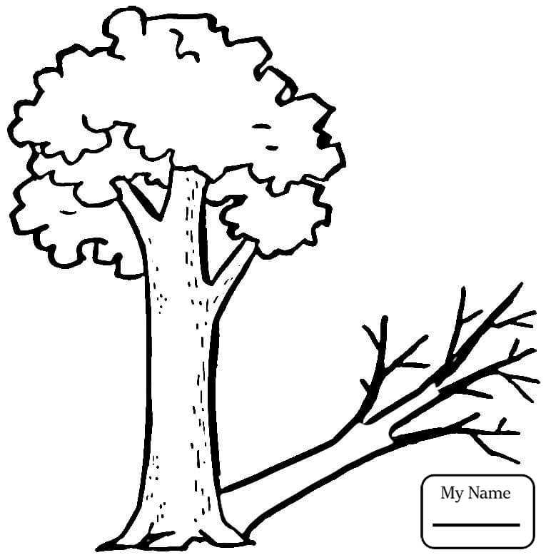 Tree Shadow Drawing at GetDrawings | Free download