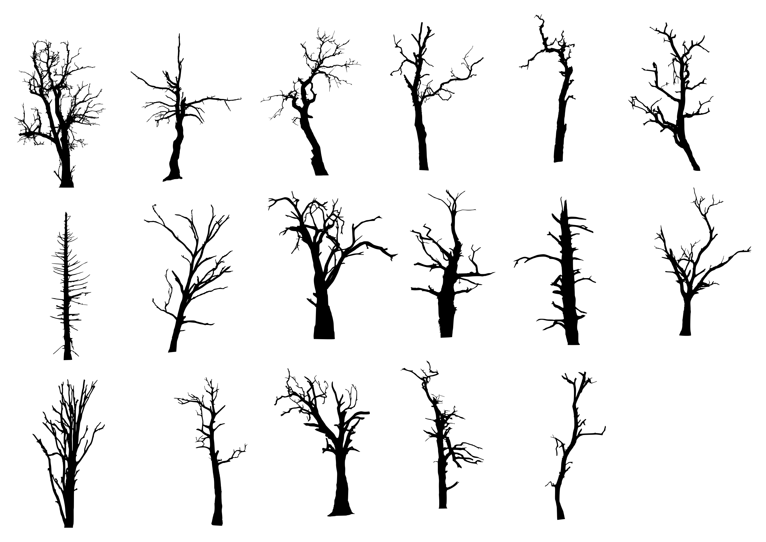 2684x1900 17 Dead Tree Silhouette (Png Transparent)