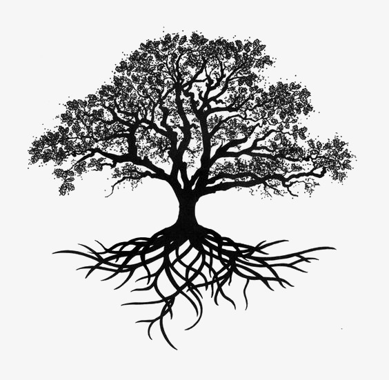 Tree Silhouette at GetDrawings | Free download