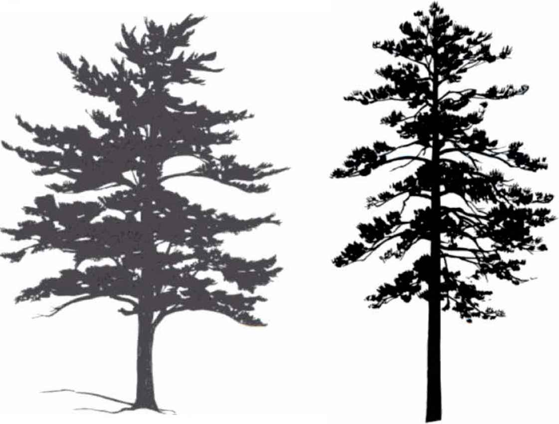 1121x852 Tree Silhouettes