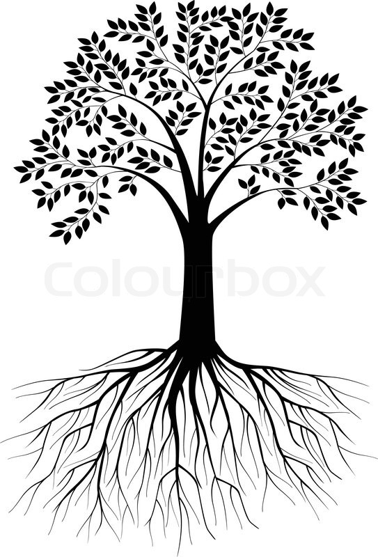 543x800 Tree Silhouette Stock Vector Colourbox