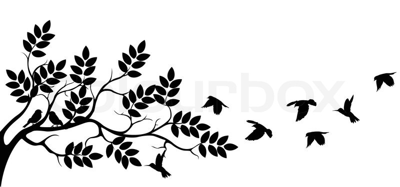 800x375 Vector Illustration Of Tree Silhouette With Birds Flying Stock
