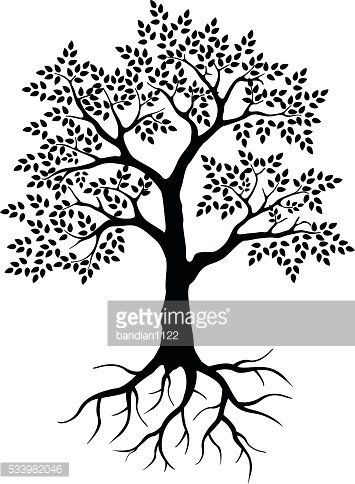355x484 Black Tree Silhouette For Your Design Premium Clipart