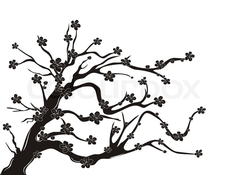 800x600 Cherry Blossom Tree Silhouette Stock Vector Colourbox