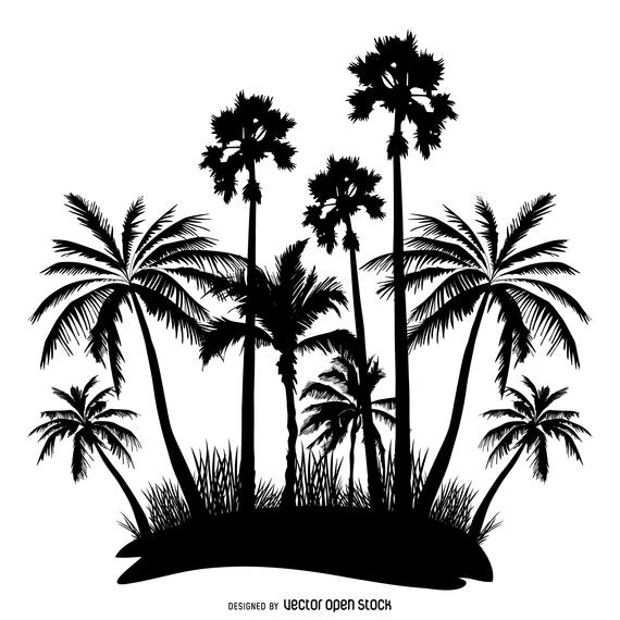 570x570 Palm Trees Silhouette