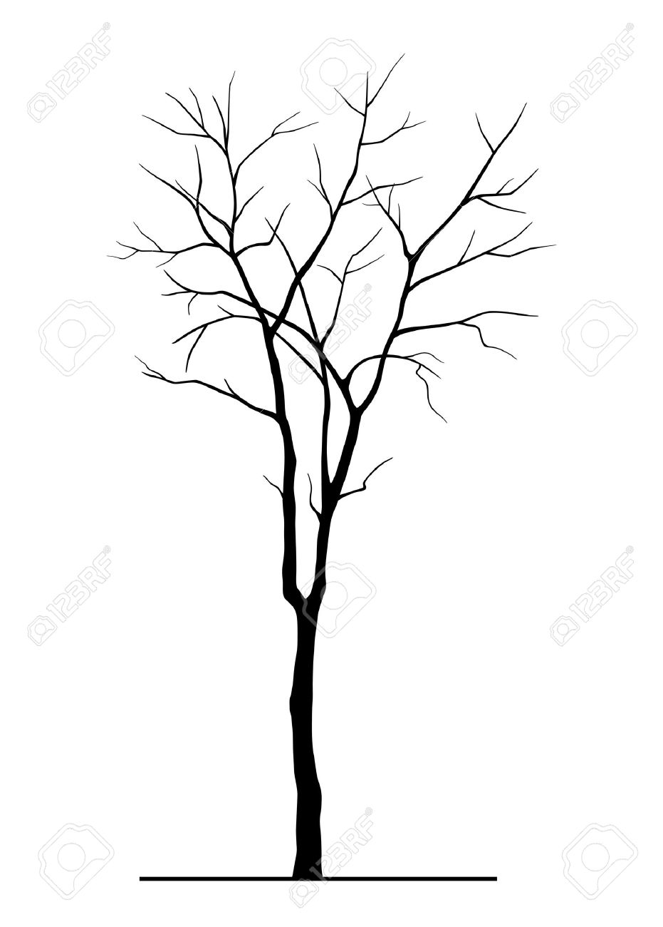 931x1300 Tree Silhouette Without Leaves Royalty Free Cliparts, Vectors,