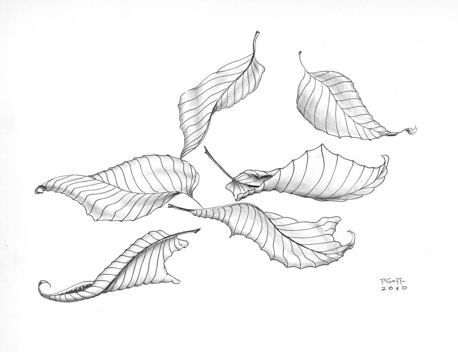 900x693 Drawn Dead Tree Leave Sketch