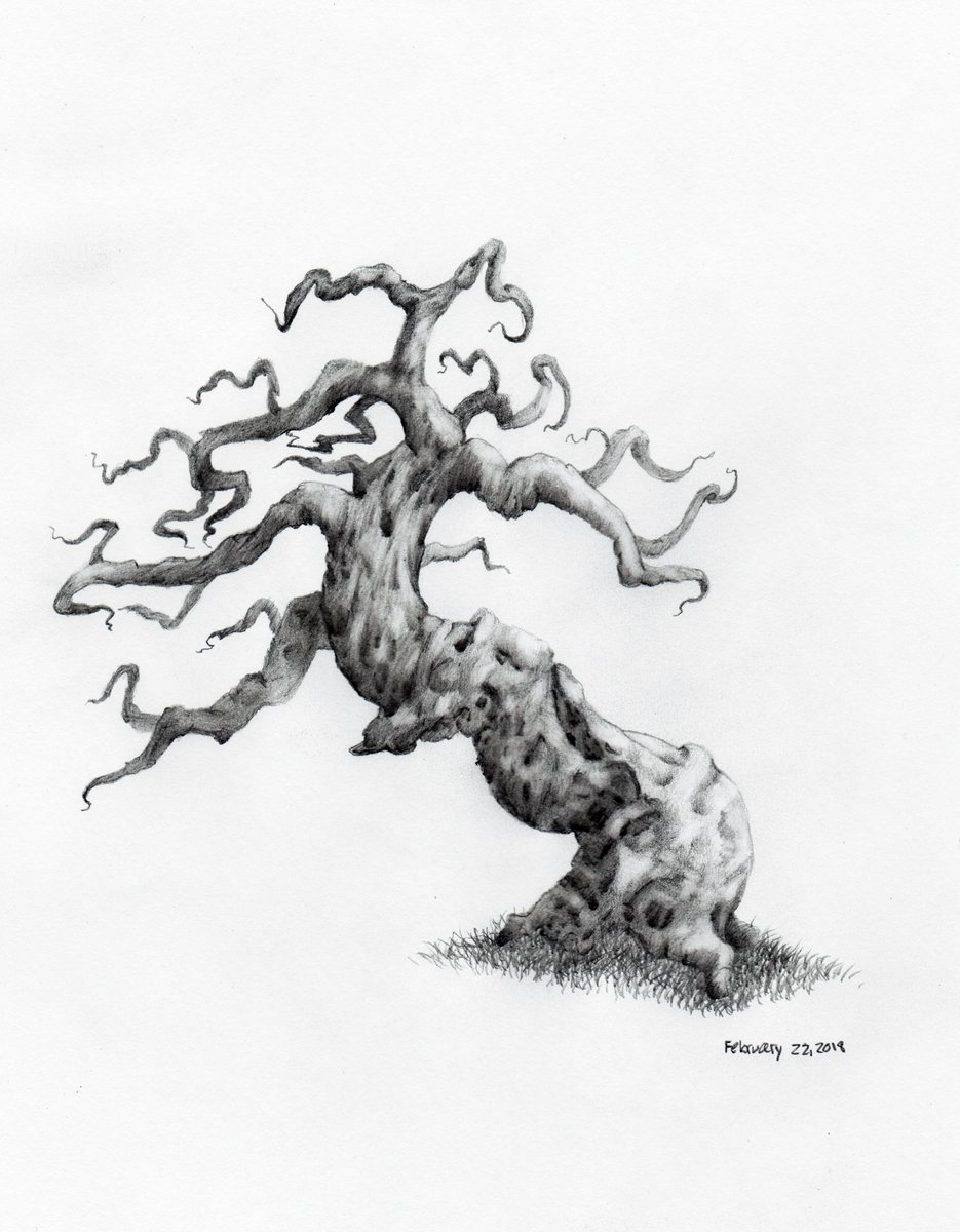 Tree Sketch Drawing at GetDrawings | Free download