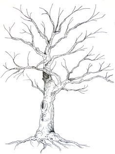 Tree Sketch Drawing at GetDrawings | Free download