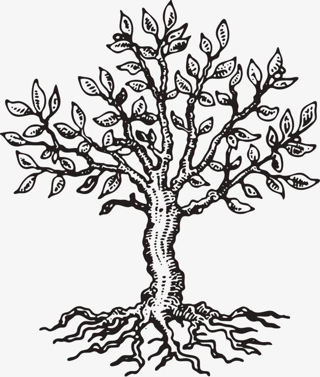 650x766 Sketch Trees, Tree, The Tree, Sketch Png Image For Free Download