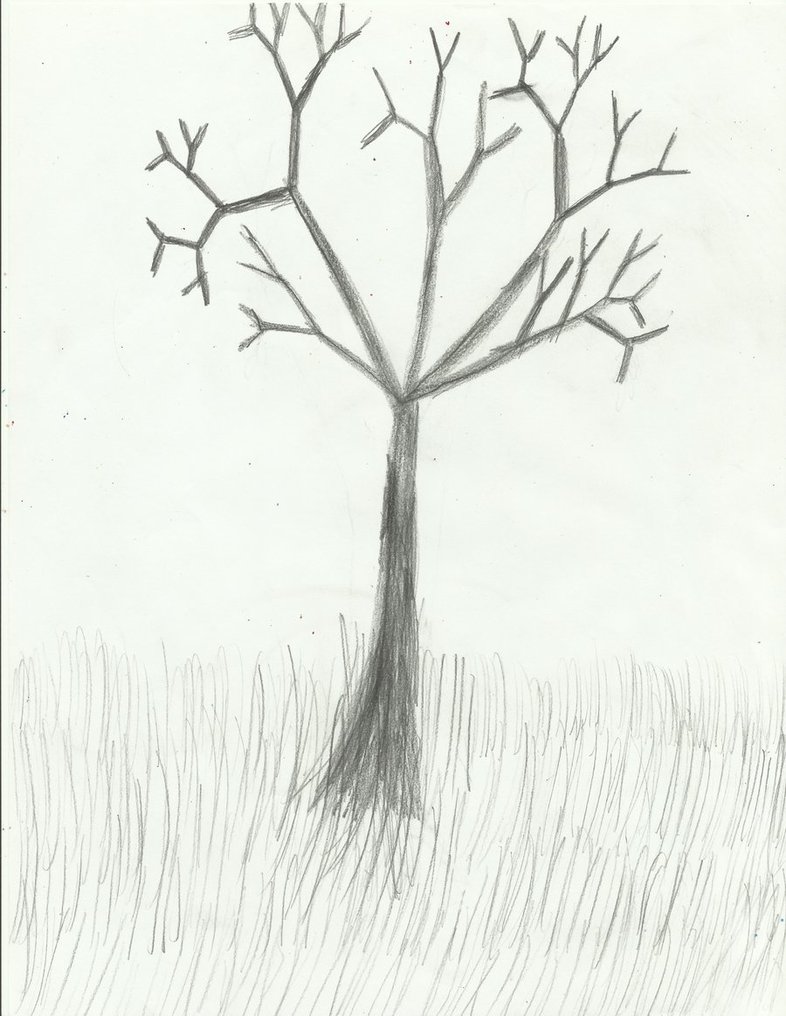 Tree Sketch Drawing at GetDrawings | Free download