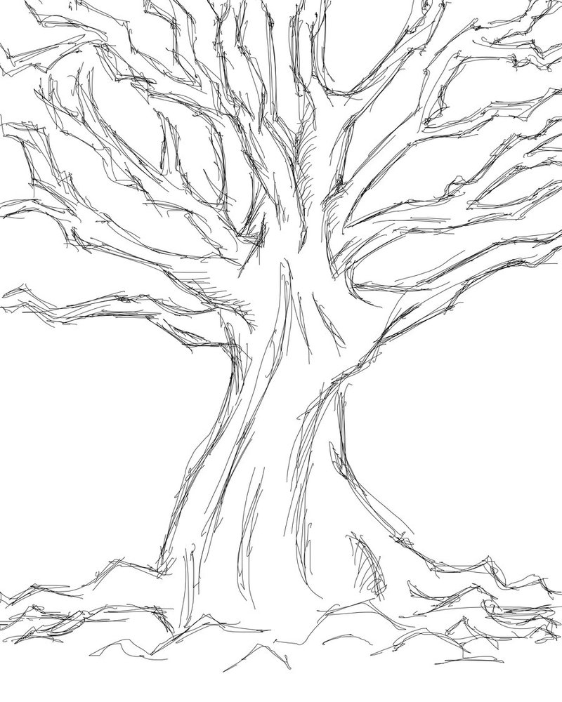 800x1000 Tree Sketch 2 By Quentinlars Drawing Tree Sketches